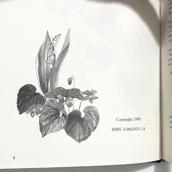 Memphis in Beauty Remembered Mueller Odle Hardcover Book Tennessee USA - Picture 7 of 9